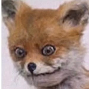 Meet your Posher, Elias